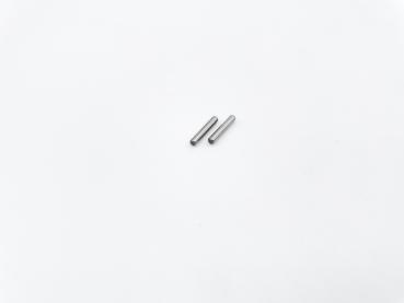 SWORKz CVA/CVD Stift M2,5x14mm (2)